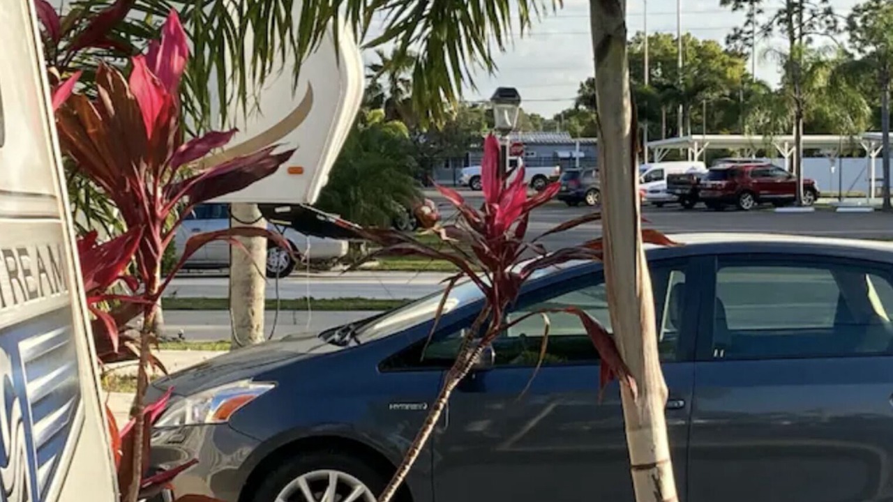 Photo of Outdoor in Bayshore Gardens