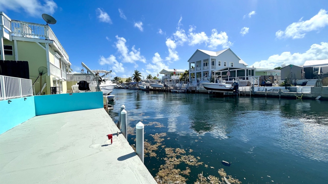 Photo of Others in Tavernier
