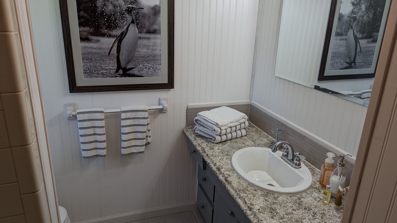Photo of Bathroom in Pinellas Park