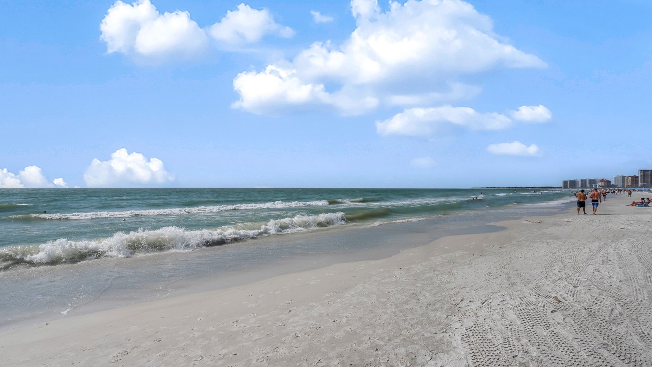 Photo of Others in Marco Island