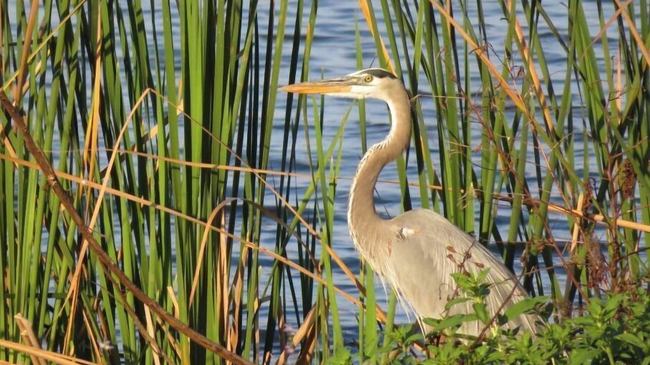 Photo of Others in Crystal Lake