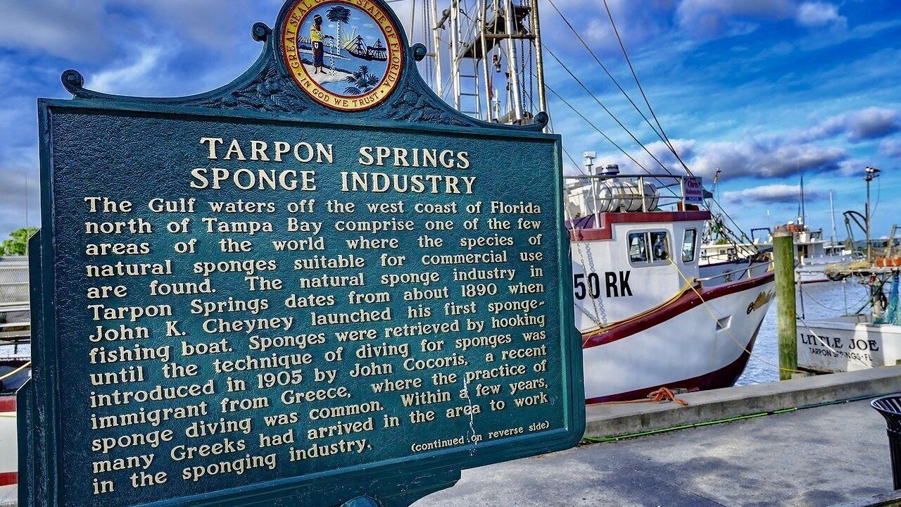 Photo of Outdoor in Tarpon Springs
