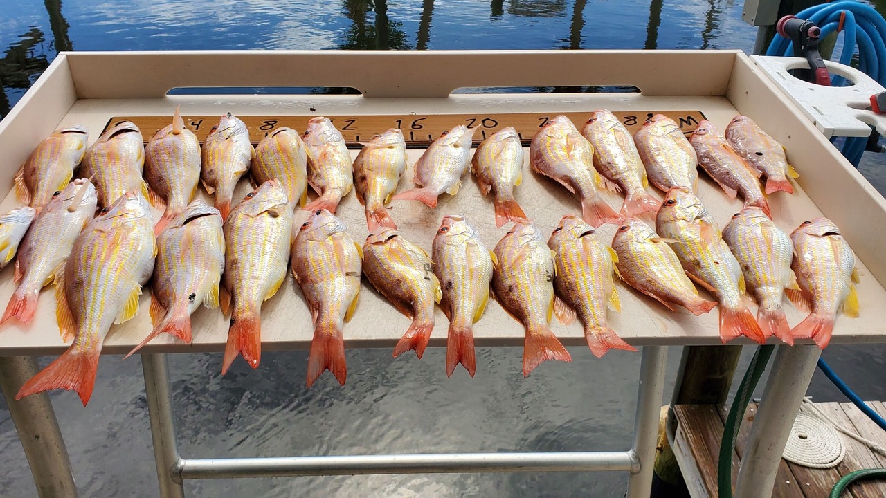 Photo of Others in Bokeelia
