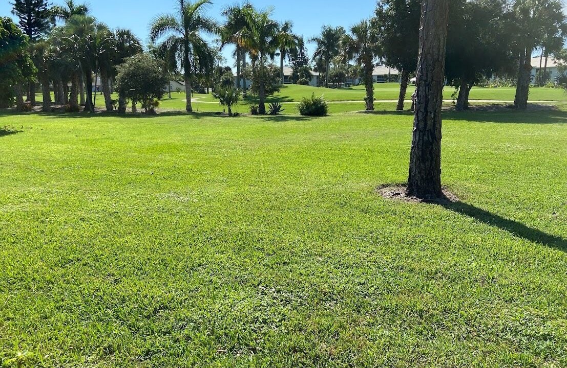 Photo of Others in Lely Golf Estates