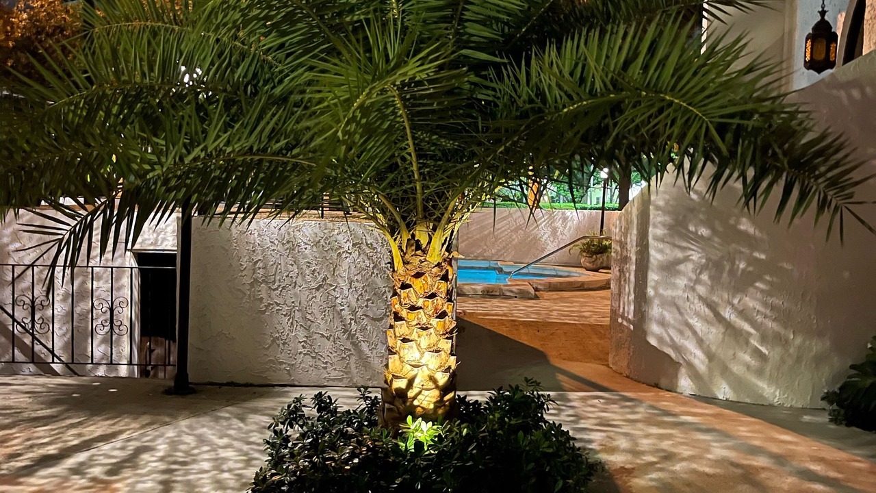 Photo of Outdoor in Miami Shores