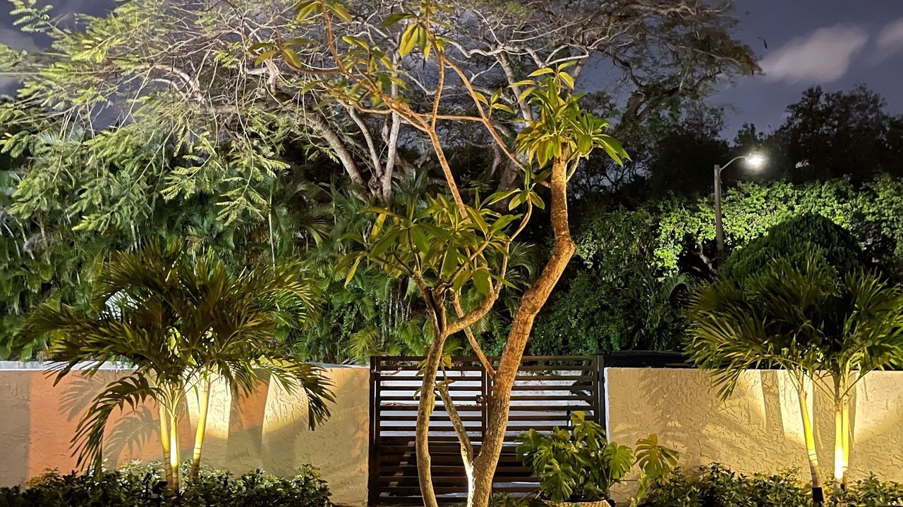 Photo of Outdoor in Miami Shores