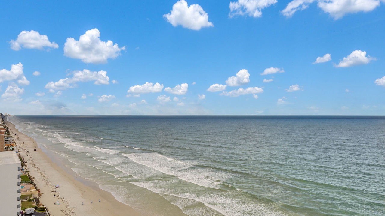 Photo of Others in Daytona Beach Shores