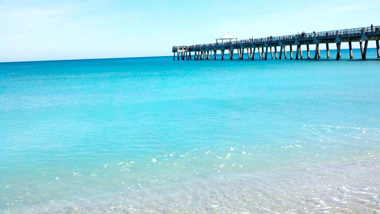 Photo of Others in Jupiter Bay