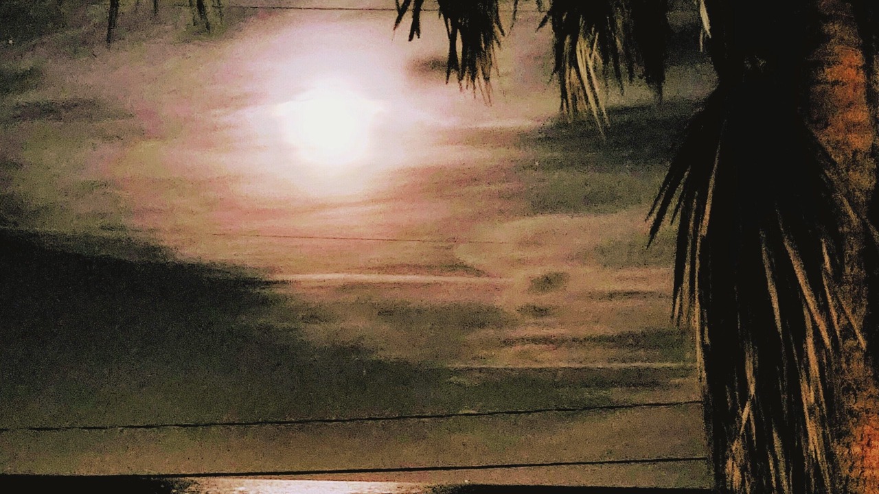 Photo of Patio Balcony in Ormond-by-the-Sea