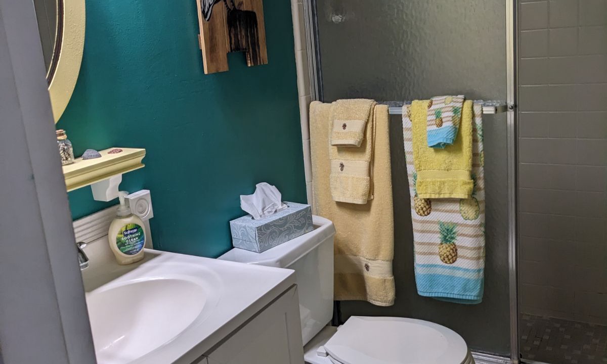 Photo of Bathroom in Ormond-by-the-Sea