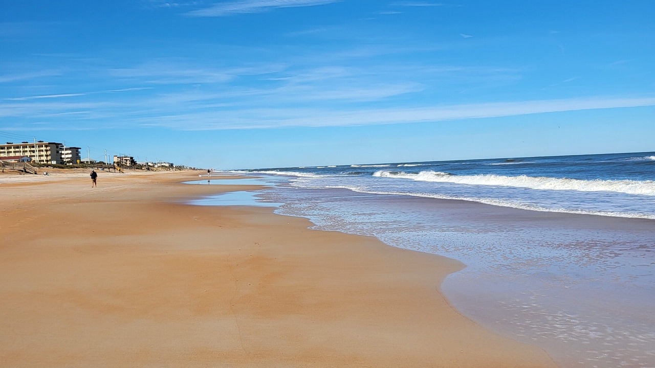 Photo of Others in Ormond-by-the-Sea