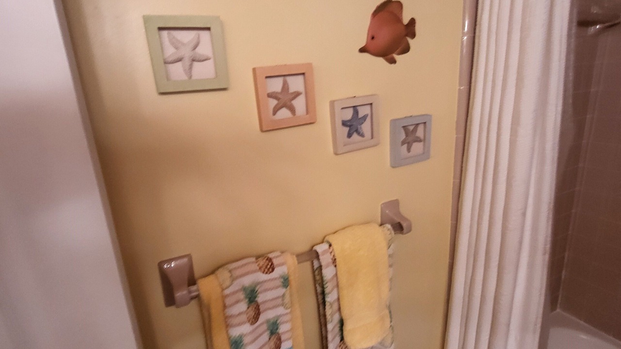 Photo of Bathroom in Ormond-by-the-Sea