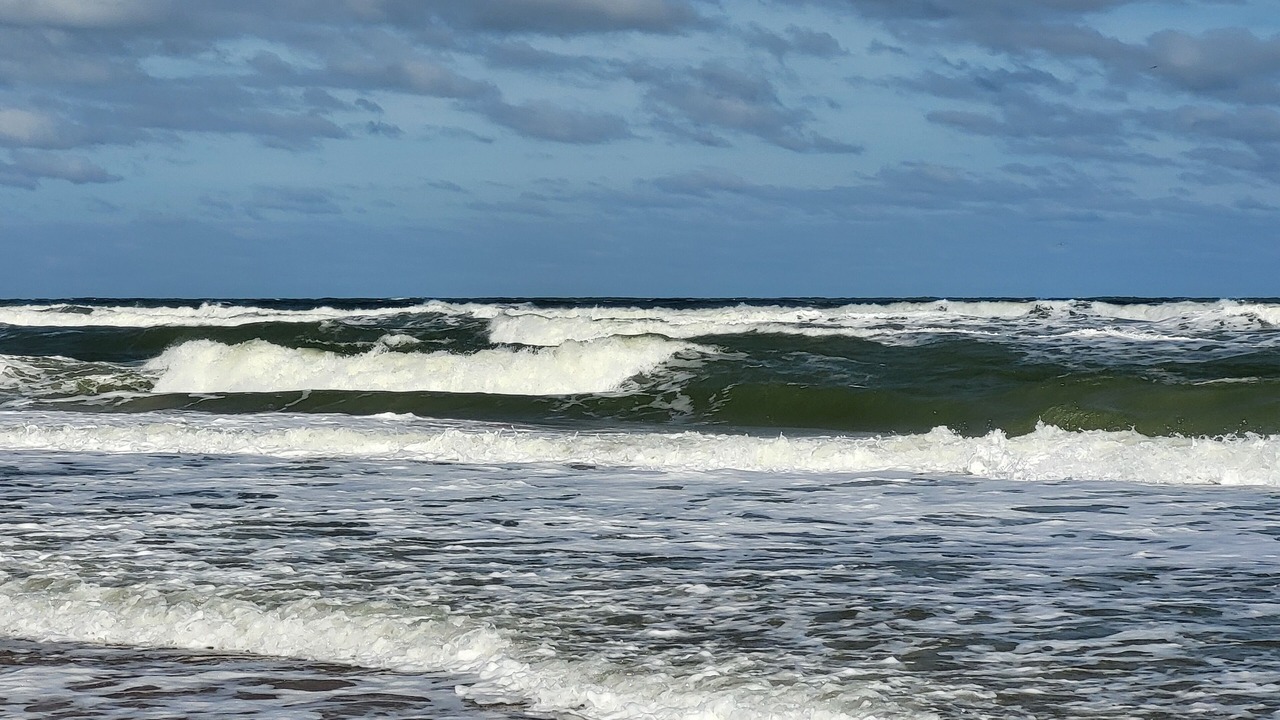 Photo of Others in Ormond-by-the-Sea