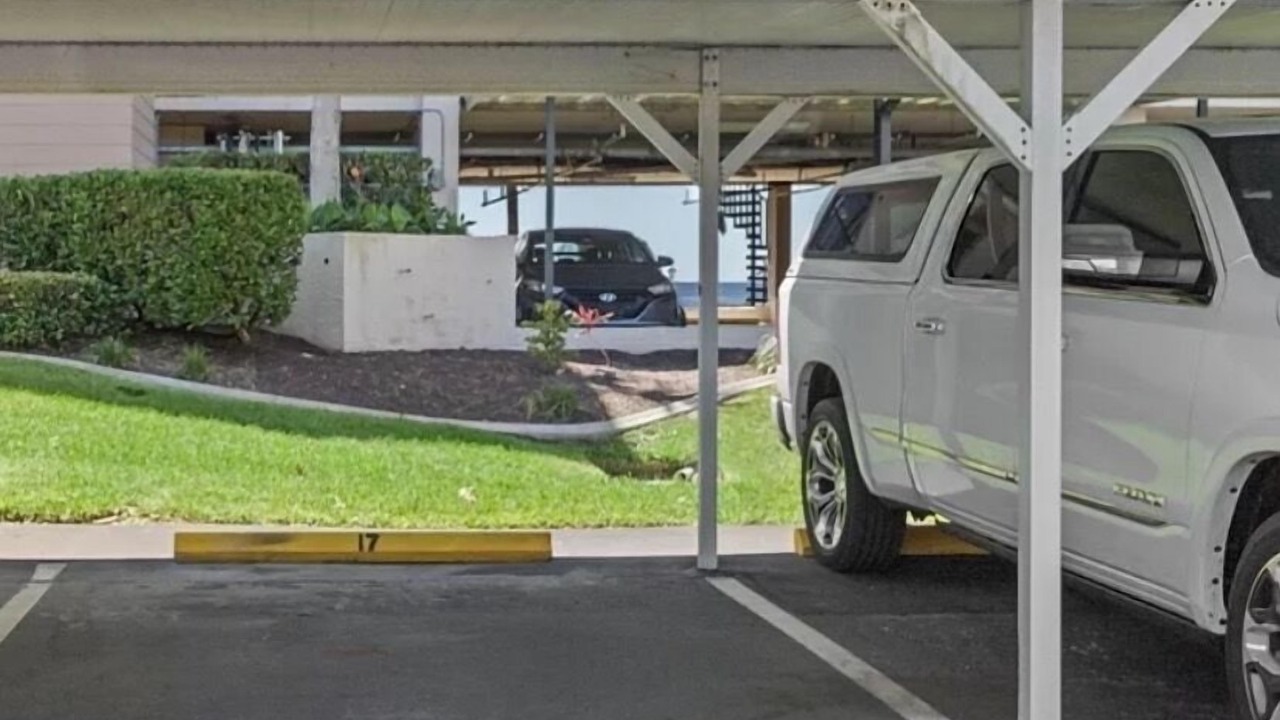 Photo of Others in Port Richey