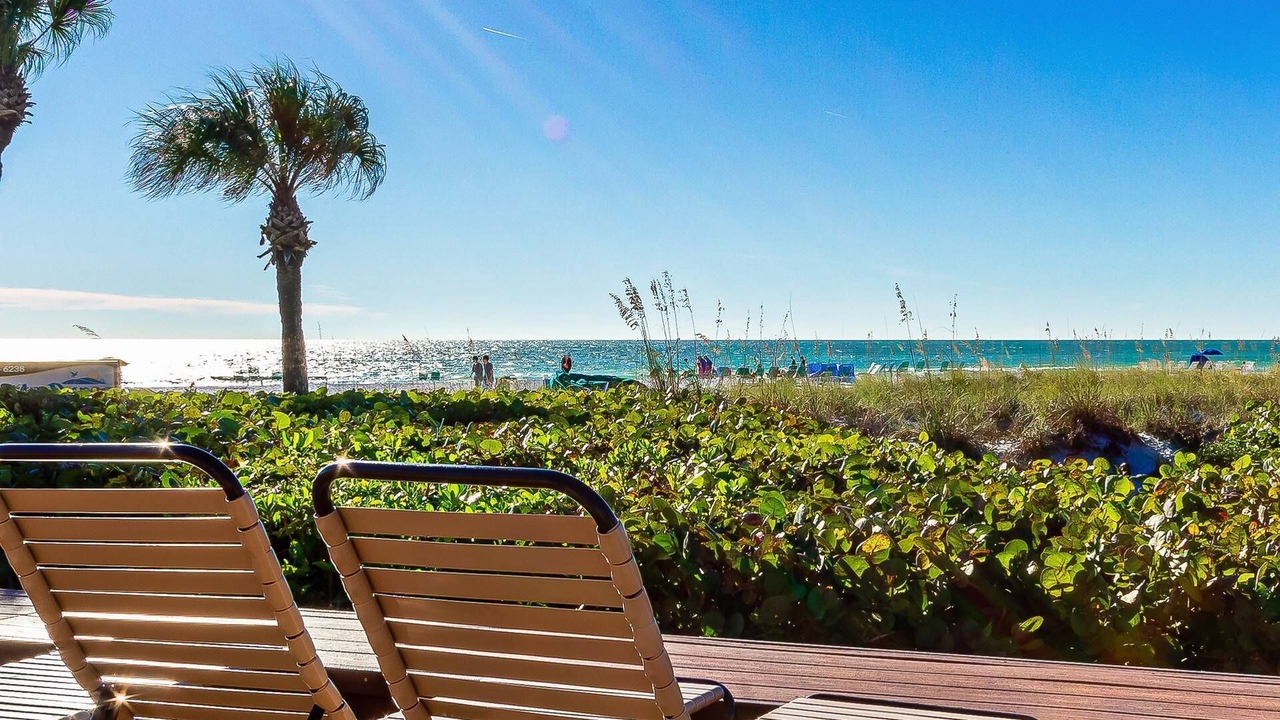 Photo of Outdoor in Siesta Key