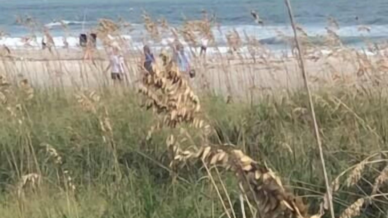Photo of Others in Port Canaveral