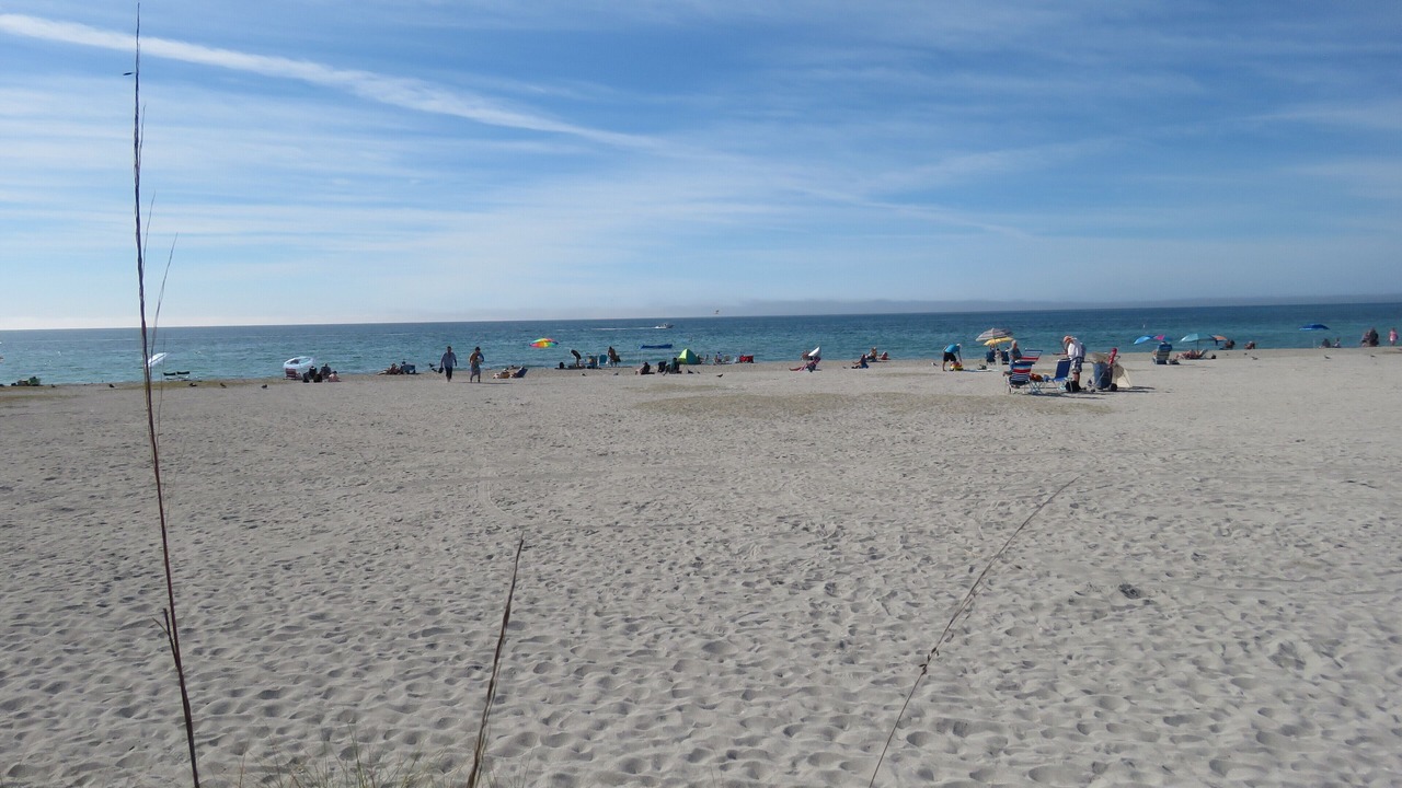 Photo of Others in Golden Beach