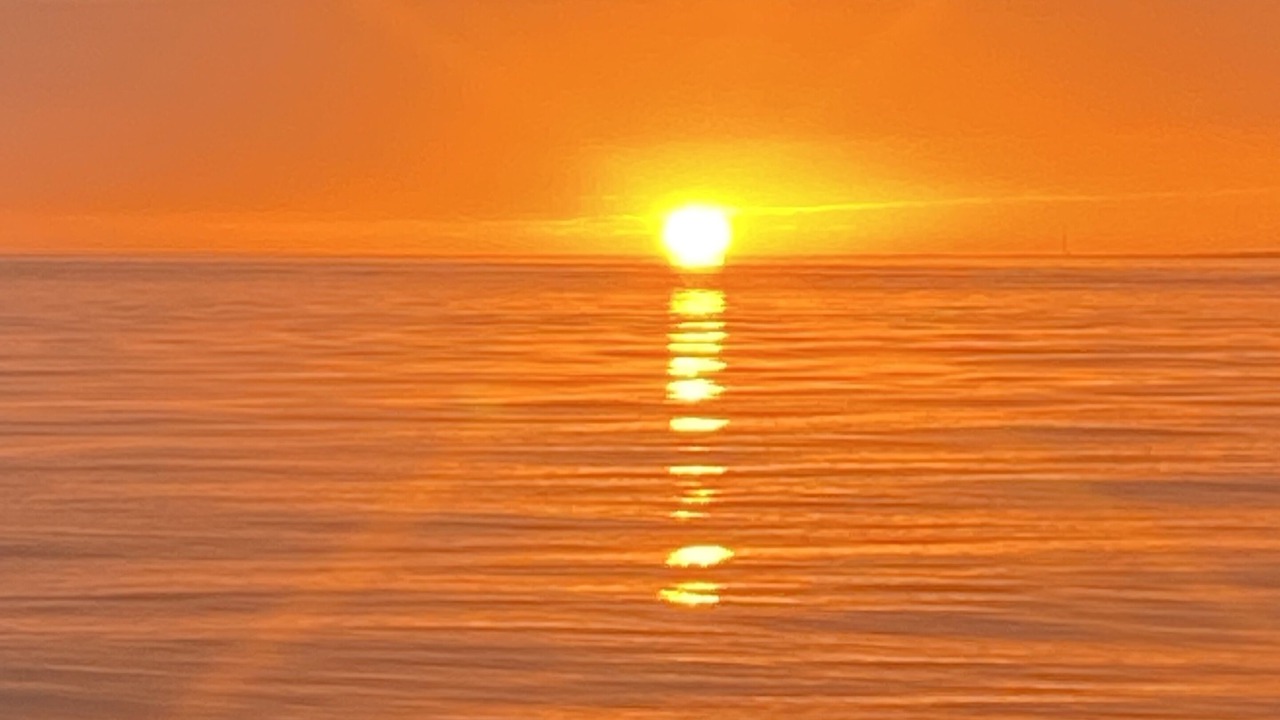 Photo of Others in Carrabelle