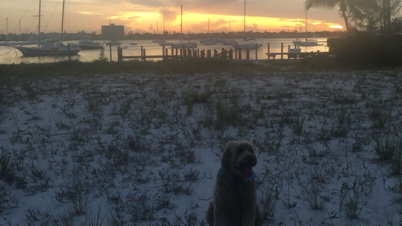 Photo of Others in Singer Island