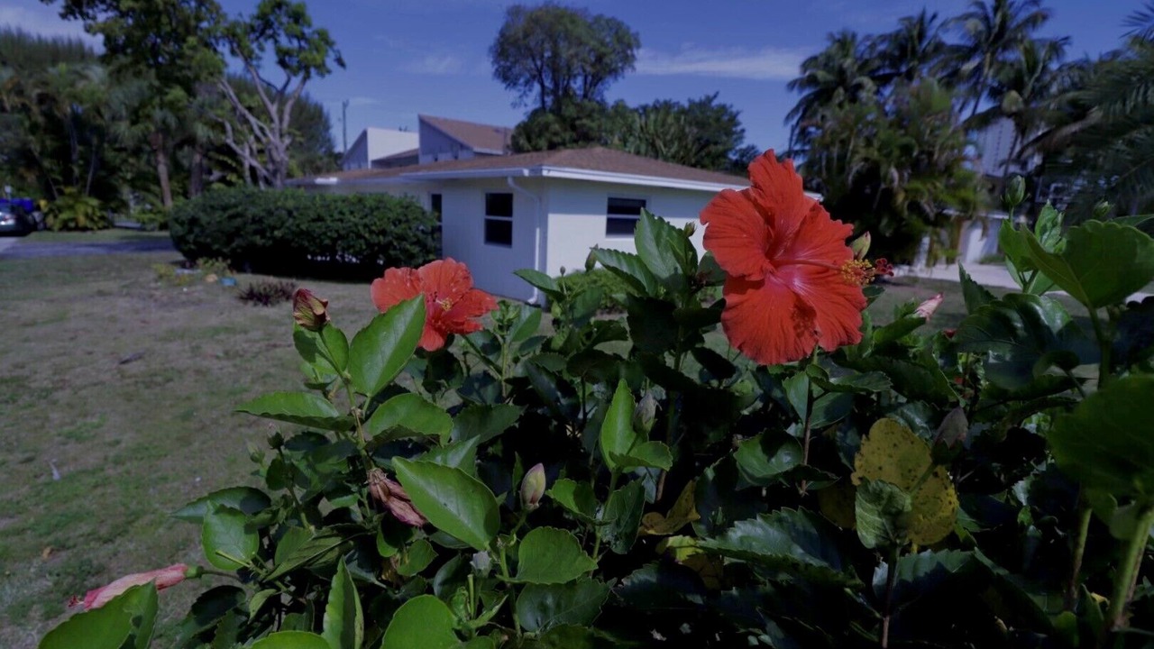 Photo of Outdoor in Singer Island