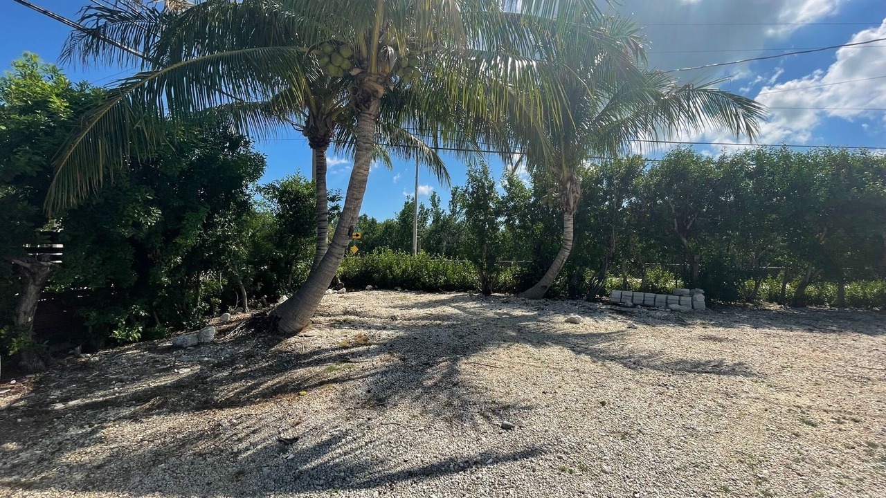 Photo of Outdoor in Big Pine Key