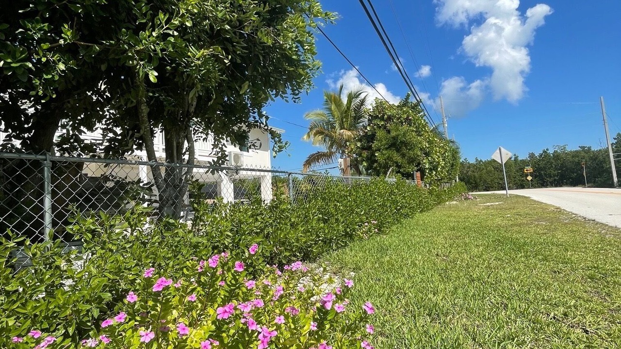 Photo of Outdoor in Big Pine Key