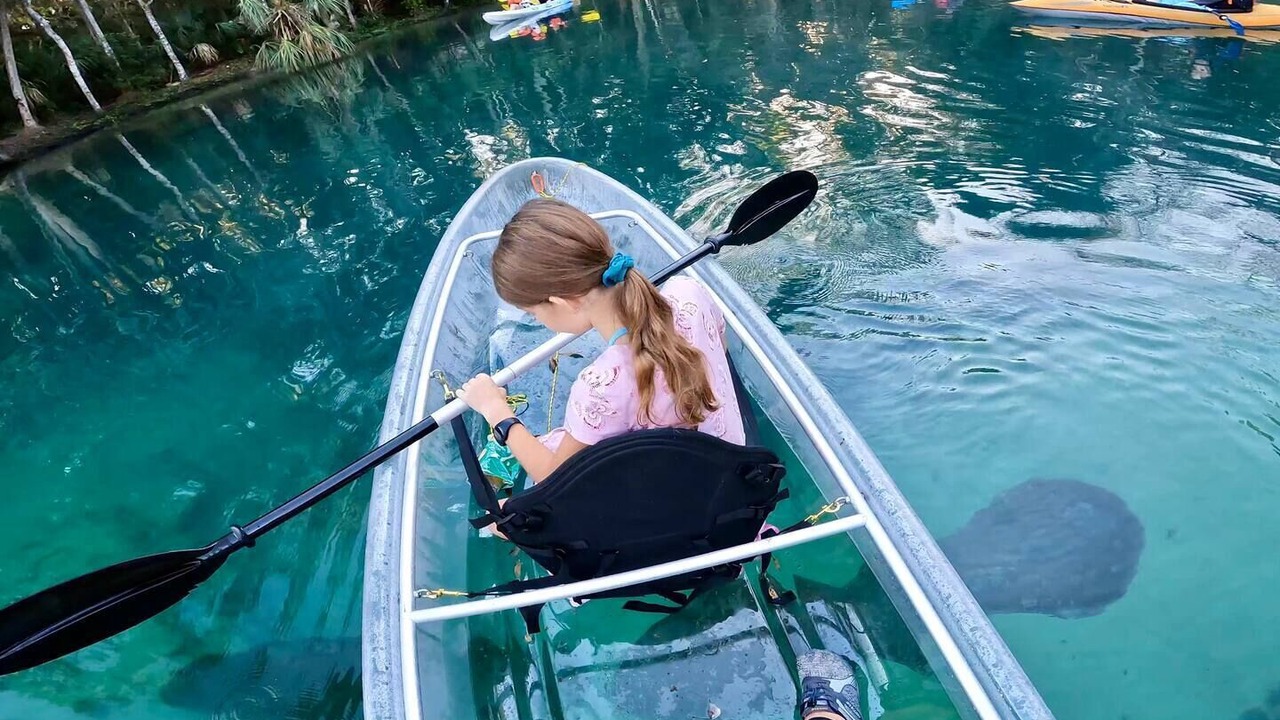 Photo of Others in Weeki Wachee Gardens