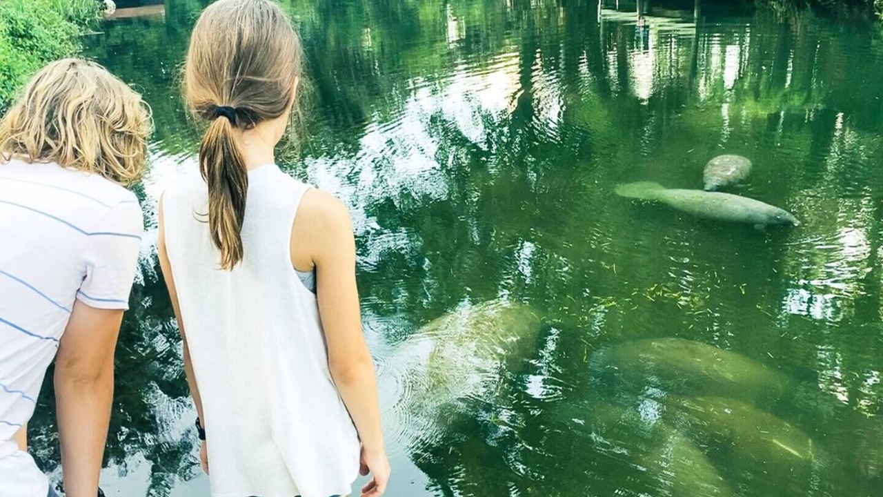 Photo of Others in Weeki Wachee Gardens
