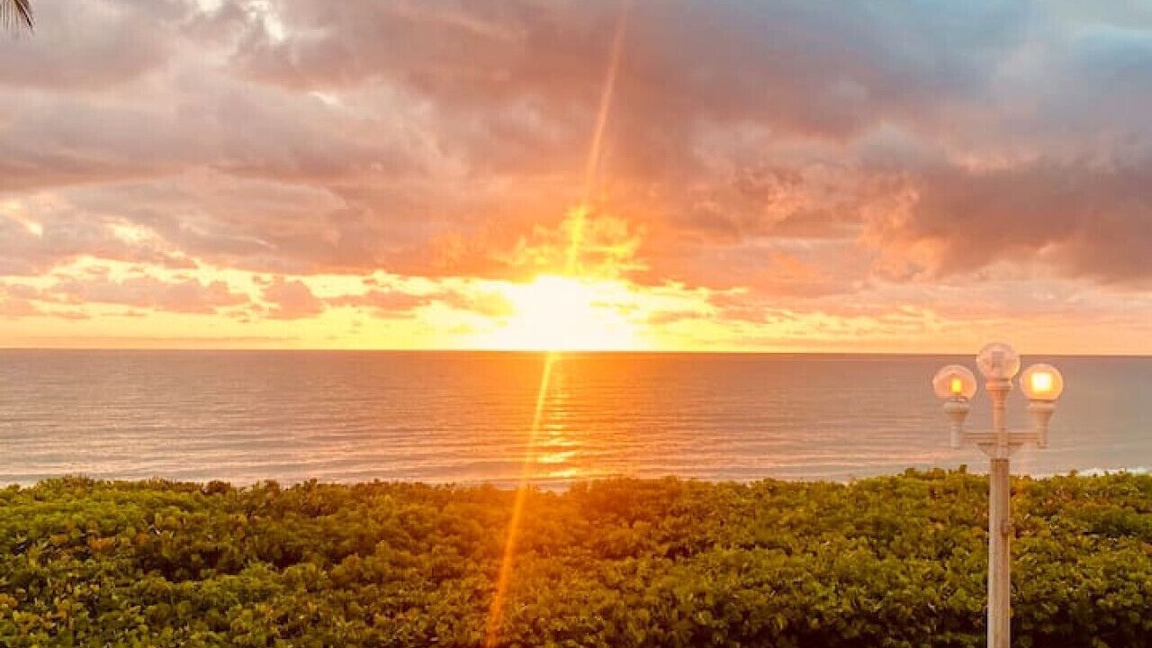 Photo of Others in Hallandale Beach