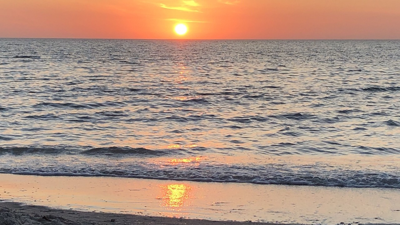 Photo of Others in East Naples