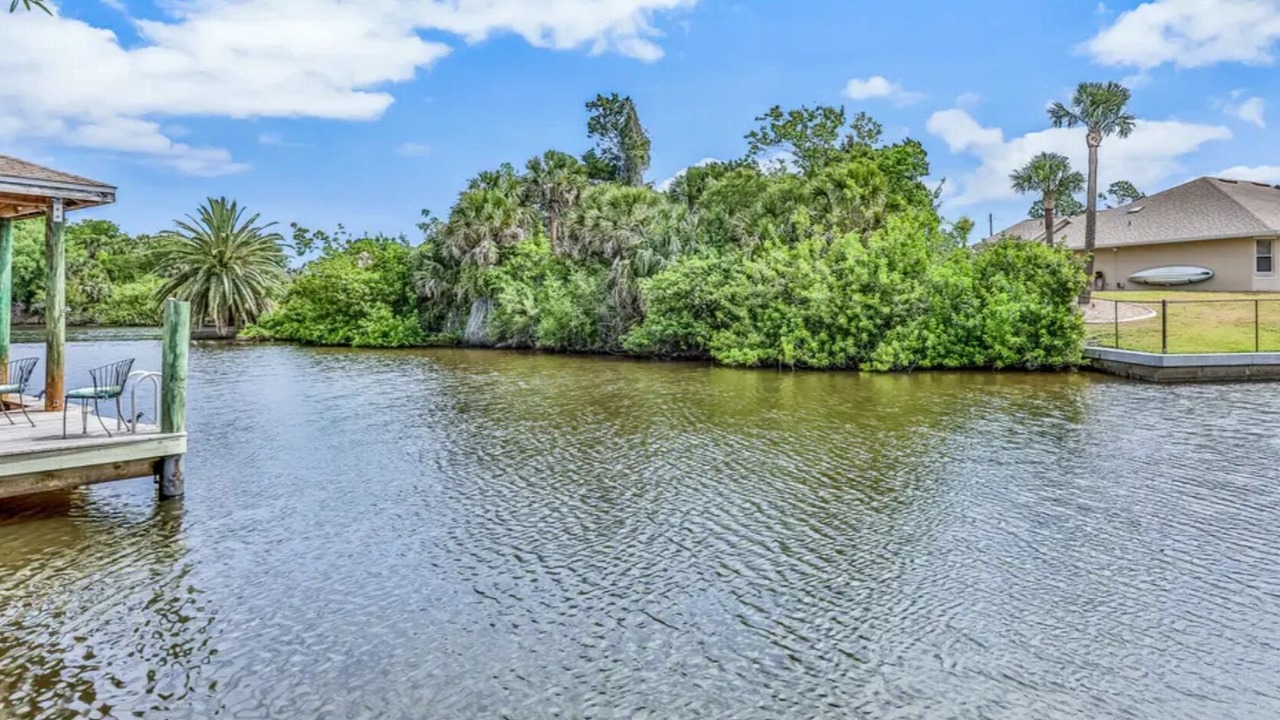 Photo of Others in Palm Harbor