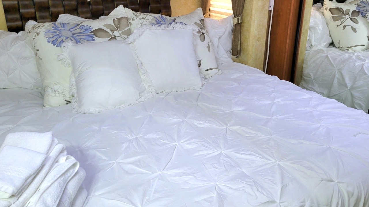 Photo of Bedroom in Bearss Plaza