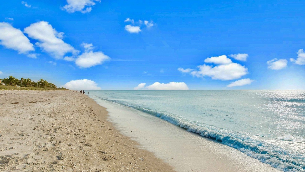 Photo of Others in Captiva