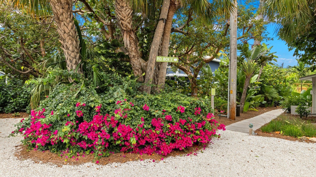 Photo of Outdoor in Captiva