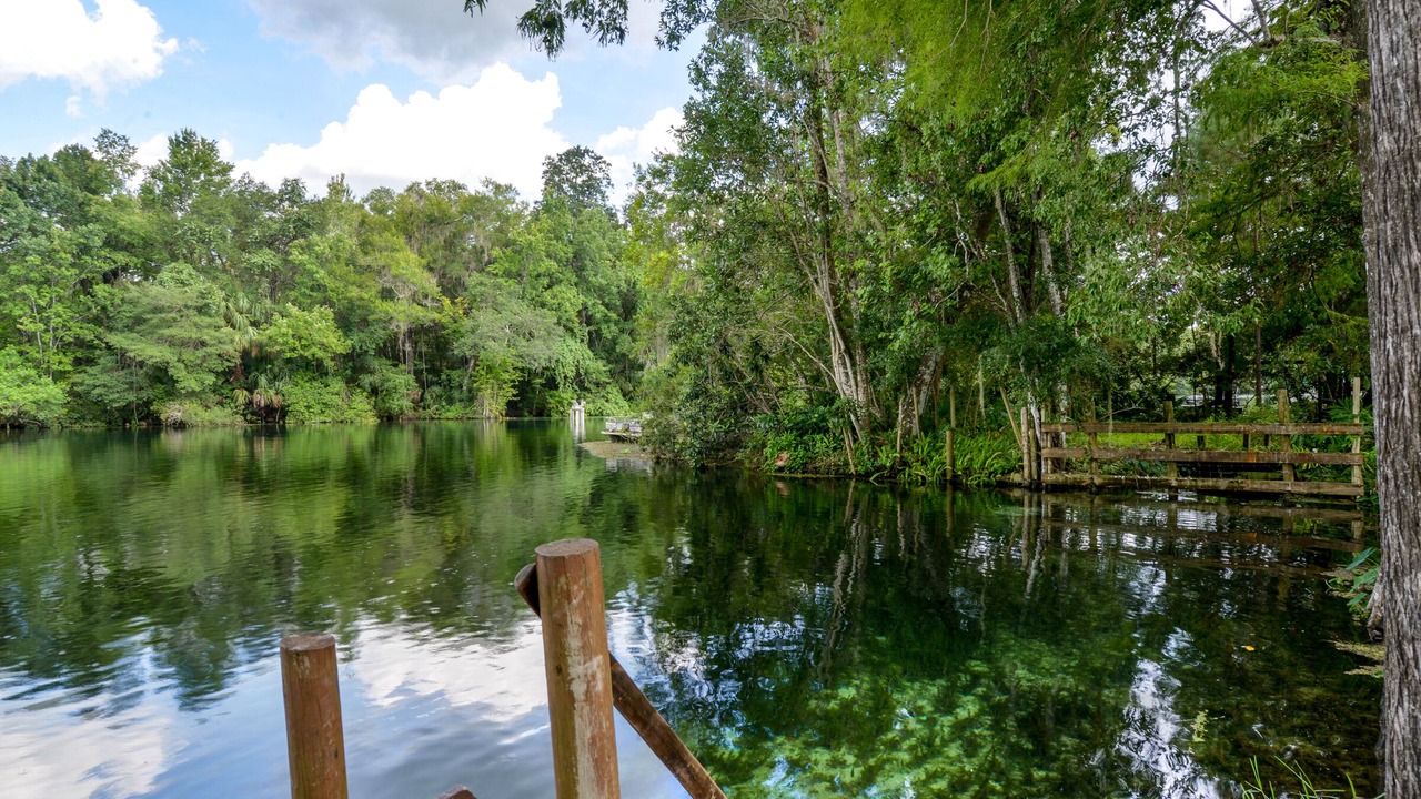 Photo of Outdoor in Dunnellon