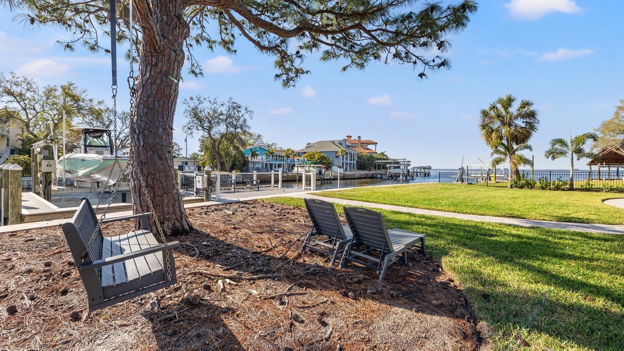 Photo of Outdoor in Palm Harbor