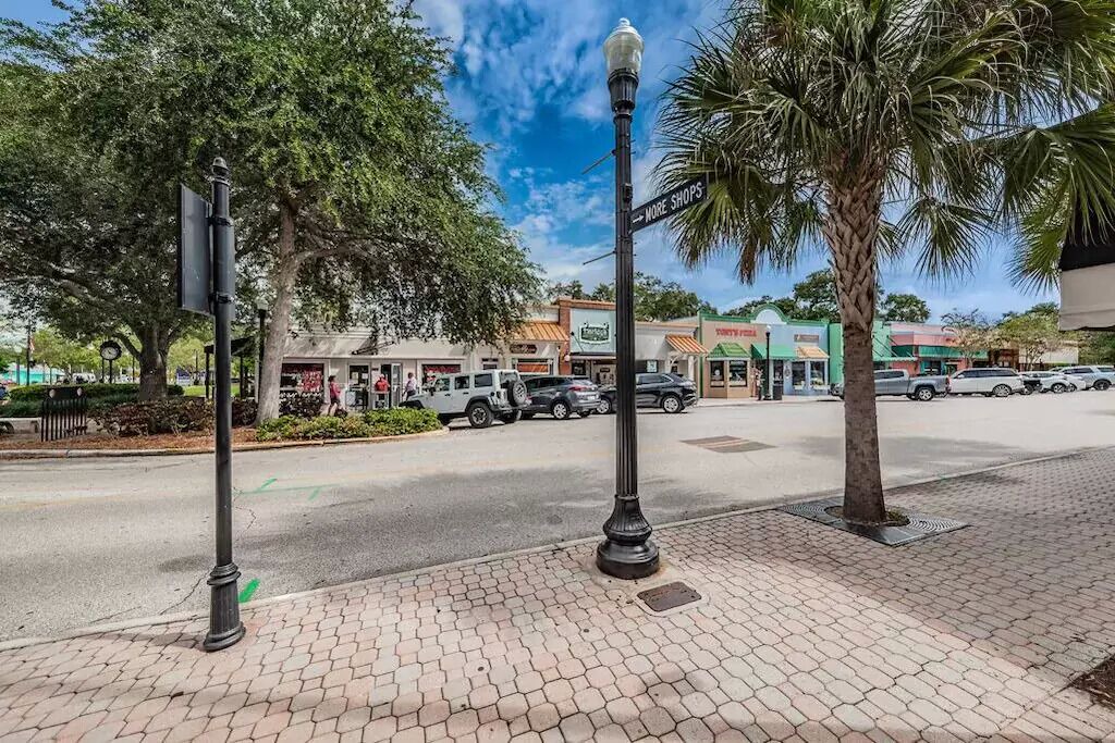 Photo of Others in Downtown Dunedin