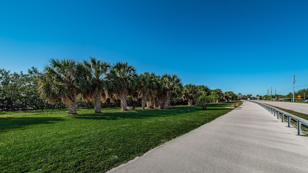 Photo of Outdoor in Downtown Dunedin