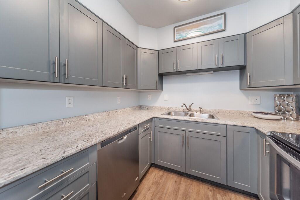 Photo of Kitchen in Downtown Dunedin