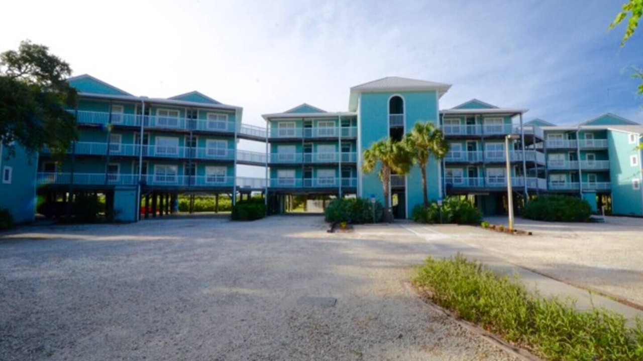 Photo of Others in Cedar Key