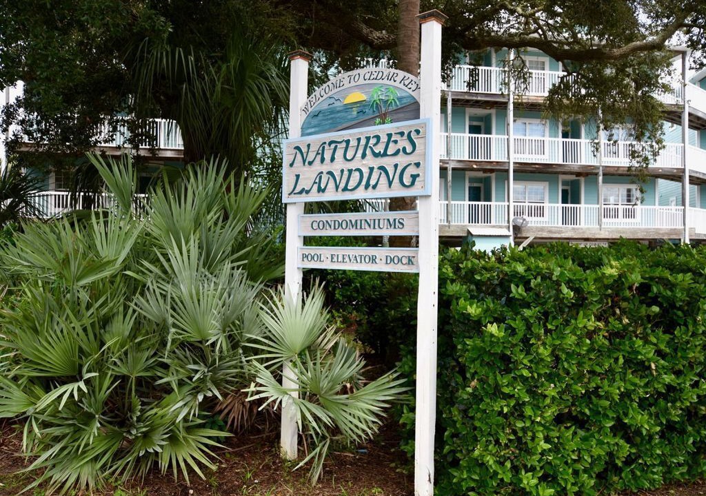 Photo of Others in Cedar Key