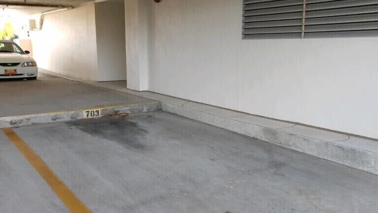 Photo of Outdoor in Largo