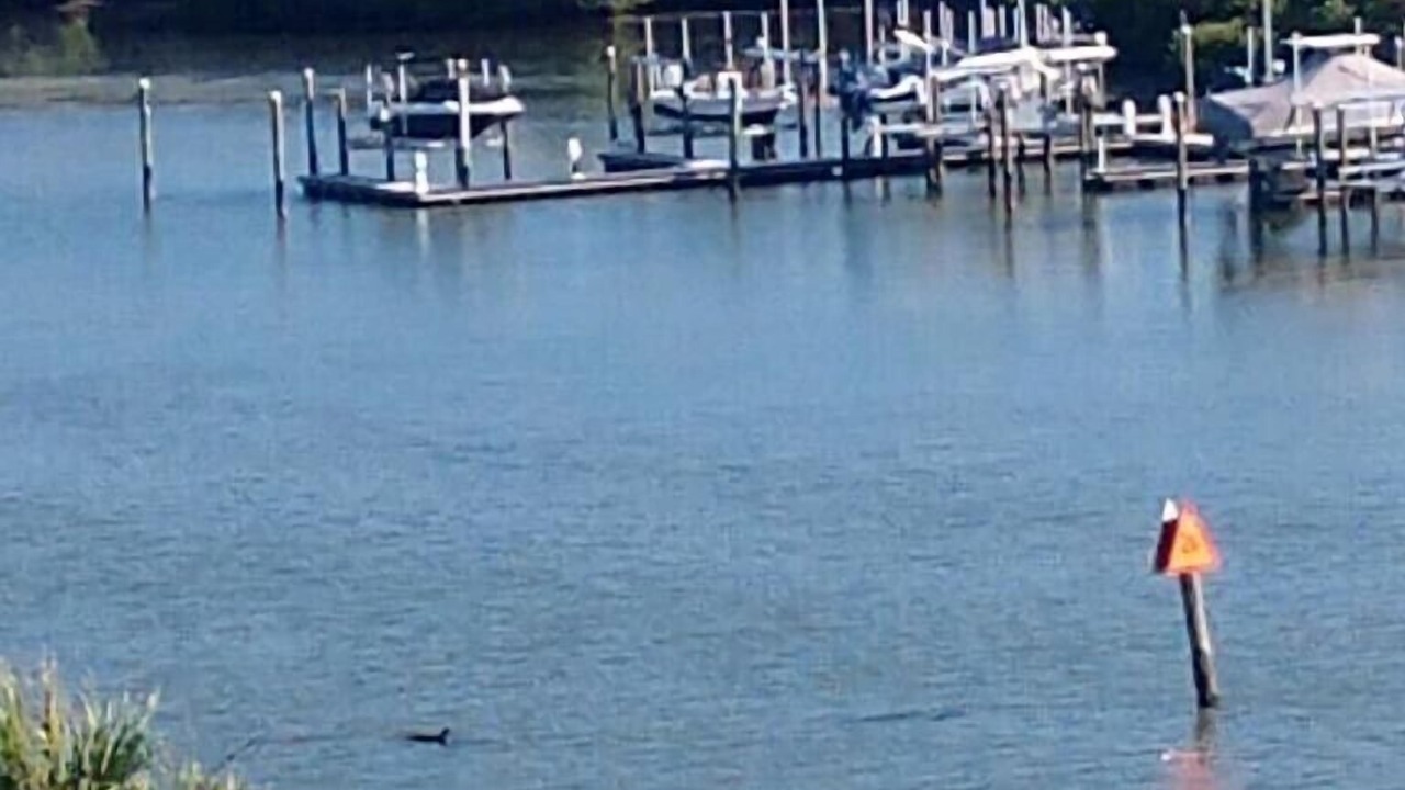 Photo of Others in Largo