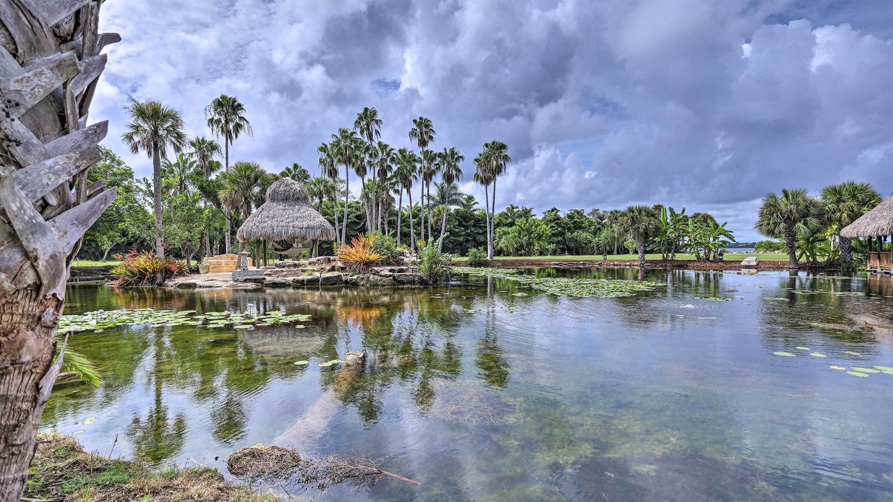 Photo of Others in Tropic