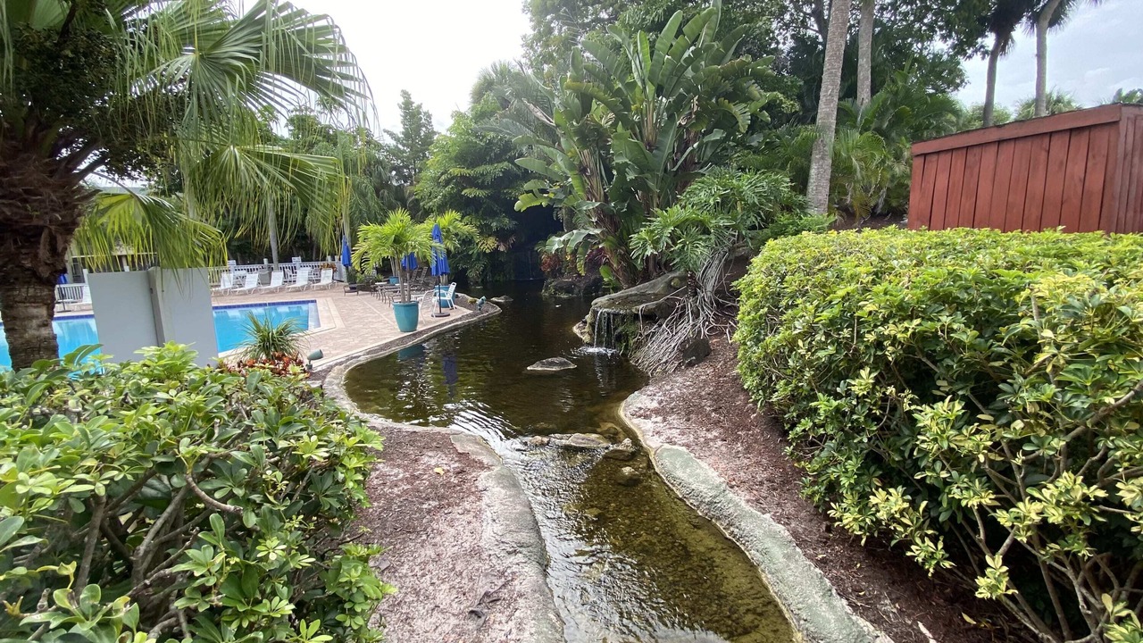 Photo of Outdoor in Park Shore