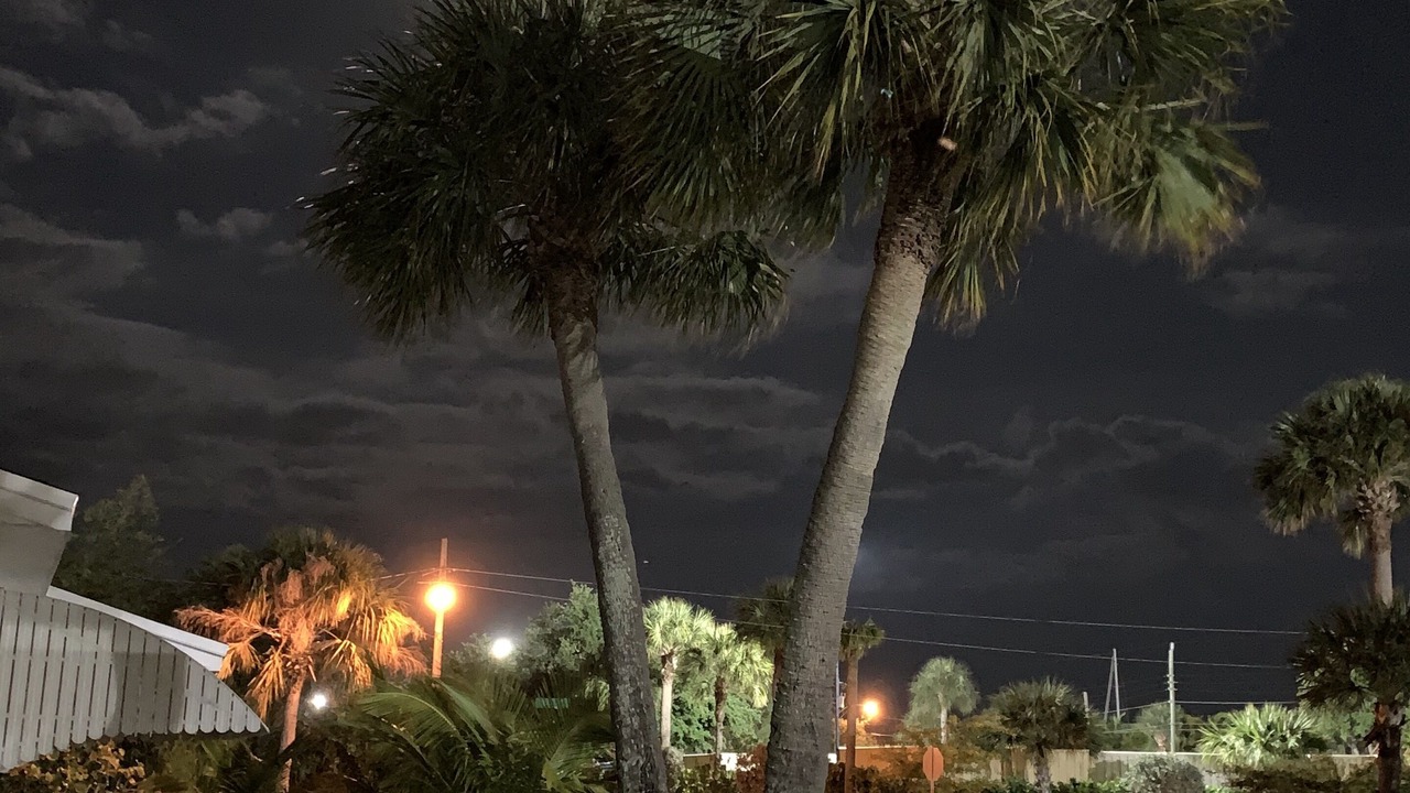 Photo of Outdoor in Riviera Beach