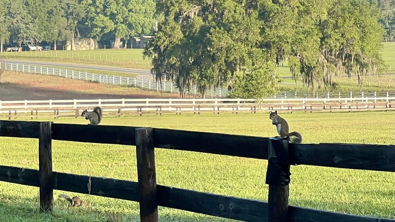 Photo of Others in Brooksville