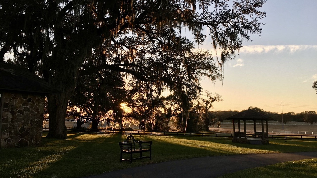 Photo of Others in Brooksville