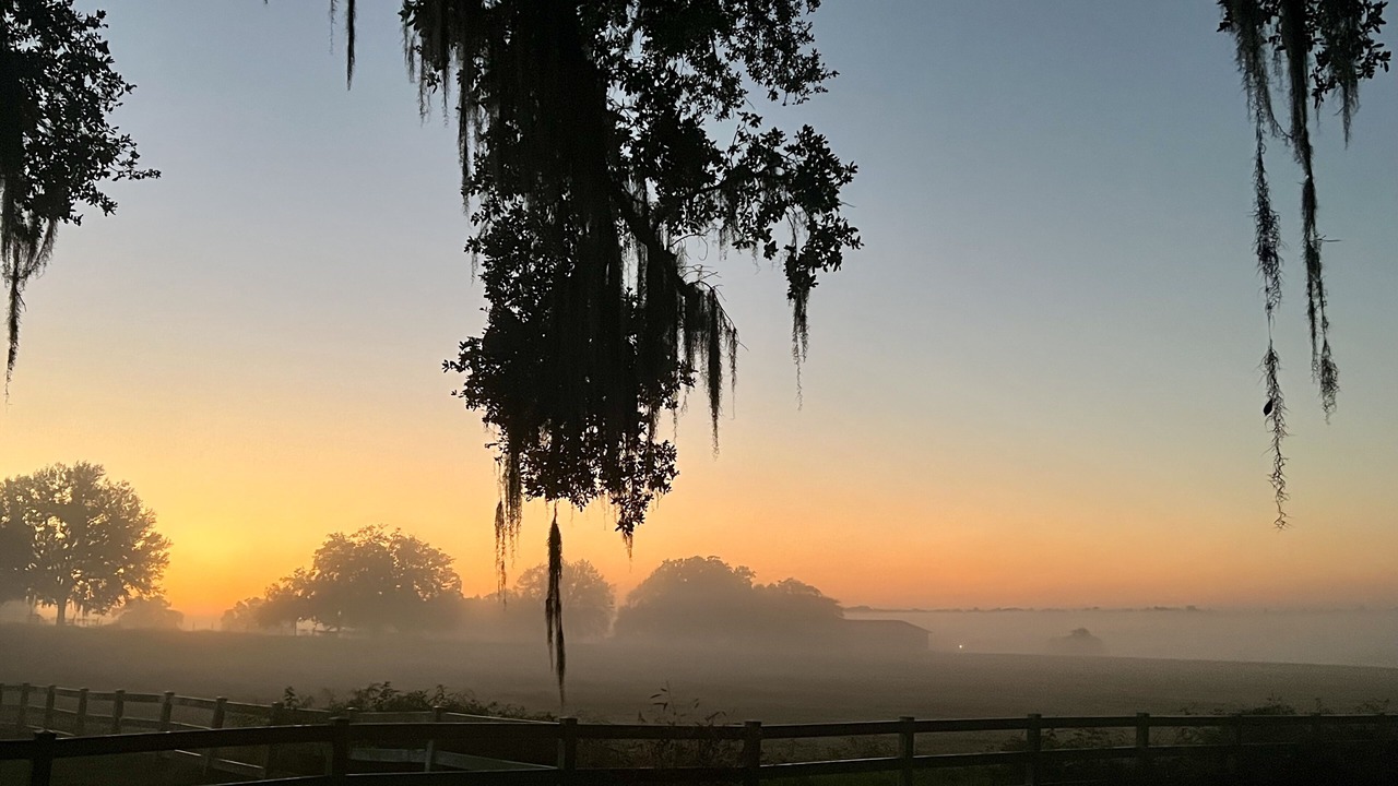 Photo of Others in Brooksville