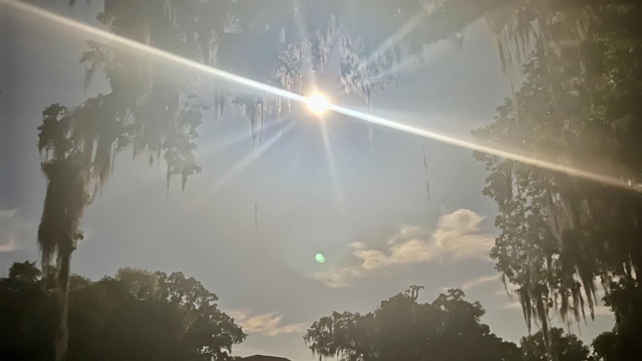 Photo of Outdoor in Brooksville
